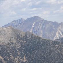 Tweedy, Torrey, Alturas #2