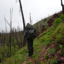 Spread Mountain Trail - Mid-way