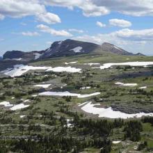 W7M/CL-013 from W7M/CL-023