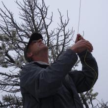 Fooling with antenna wires