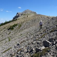Sidehilling down the ridge.  The summit is in the background.