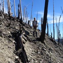 2015 Trail Creek burn