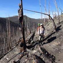 Getting closer to Dean Ridge on the descent