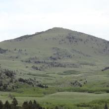McCarty Hill from the west on a sunny day