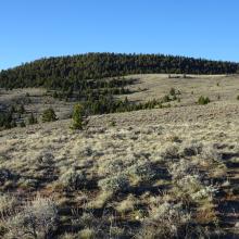 Looking at summit from Northeast