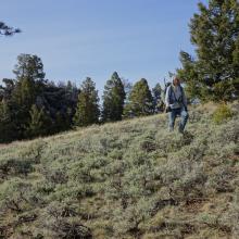 Descending through meadow - Summit is in background