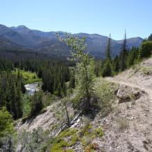 On the trail up the West Fork of the Sun - Day-1
