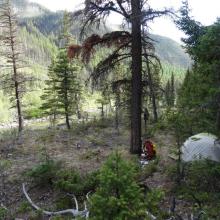 A welcome sight after a long day - Our camp on White River