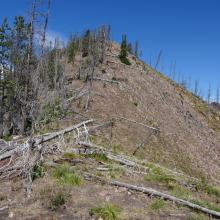 On the south ridge - Easy going