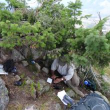 Finding a shady spot for some CW