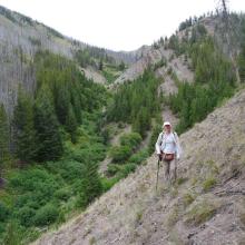 Easier going at the head of Straight Creek.  Rampart Mtn. is across the gully to the upper left