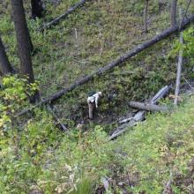 The last bit of sidehilling on the east side of Straight Creek