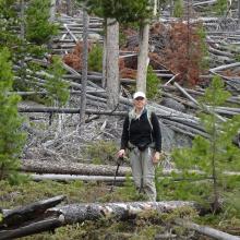 Some deadfall to negotiate on bushwack portion