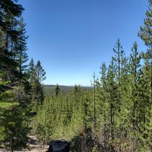 Diamond Peak from my path back down the mountain