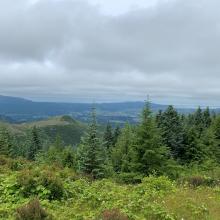 The View - Tillamook, the bay, the ocean