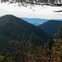 SC-229 and SC-242 from walk down SC-228