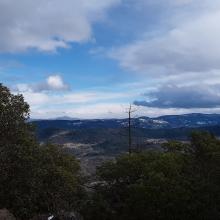 View from north picnic table