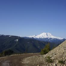 The volcano from the forest road