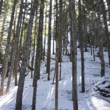 OMG this just got serious