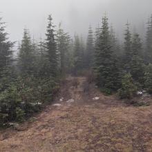 ATV track ends very shortly, but gives a place to start from.