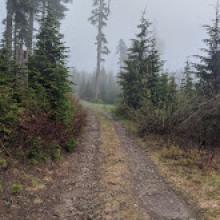 The road to the bushwhack is in decent condition