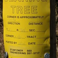 A bearing tree marker indicating the section boundary
