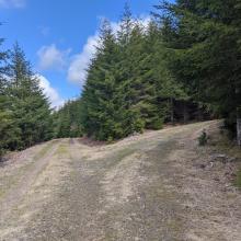 First minor road fork, stay left.