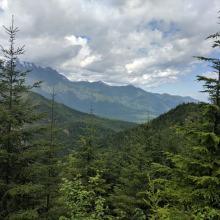 There are even views of the tail end of Lake Cushman.