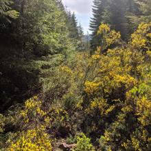 Sometimes you just have to wade through it.