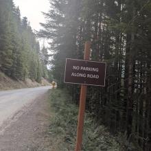 Park between the signs