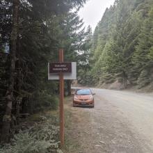 Park between the signs