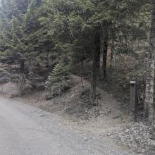 Trailhead is immediately off the road and starts climbing abruptly