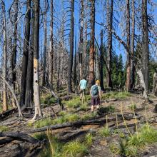 My friends traverse the ridge of East Crater, headed west between high points