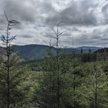 You can see Salmonberry Peak's current distinctive bald half.