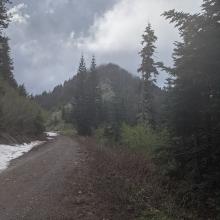 View of Wildcat from the base in the saddle; it looks like a cone-shaped peak