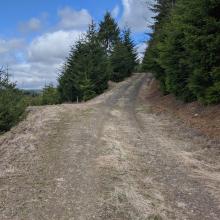 Second minor road fork, stay right