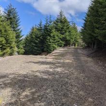 Third minor road fork, stay right