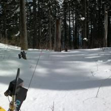Augspurger Mountain summit