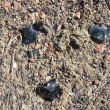 Obsidian on the hike to Little Glass Butte