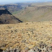 Big Indian Gorge from Steens Mountain Loop Road