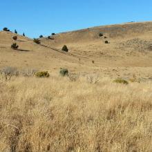 Diamond Craters HP on right