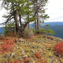"Chasers Rock" Summit - Mount Hood should be in the background...