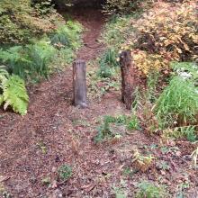 "Chasers Rock" Trailhead off NF 2613