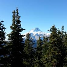 View of Mount Hood from 6001 summit