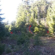 Take the trail up the center