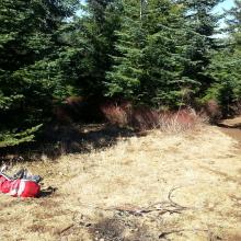 Summit clearing on Peak 3534