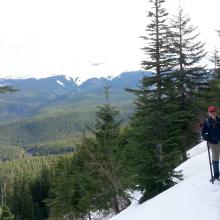 On the Tom Dick Harry trail