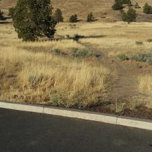 Trail starts from the church parking lot