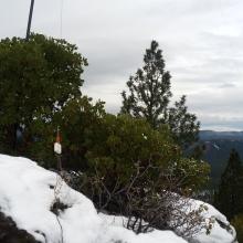 HF Antenna on Pistol Butte