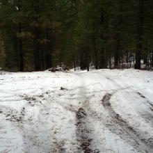 Turn right onto a mountain bike off the 4WD track here